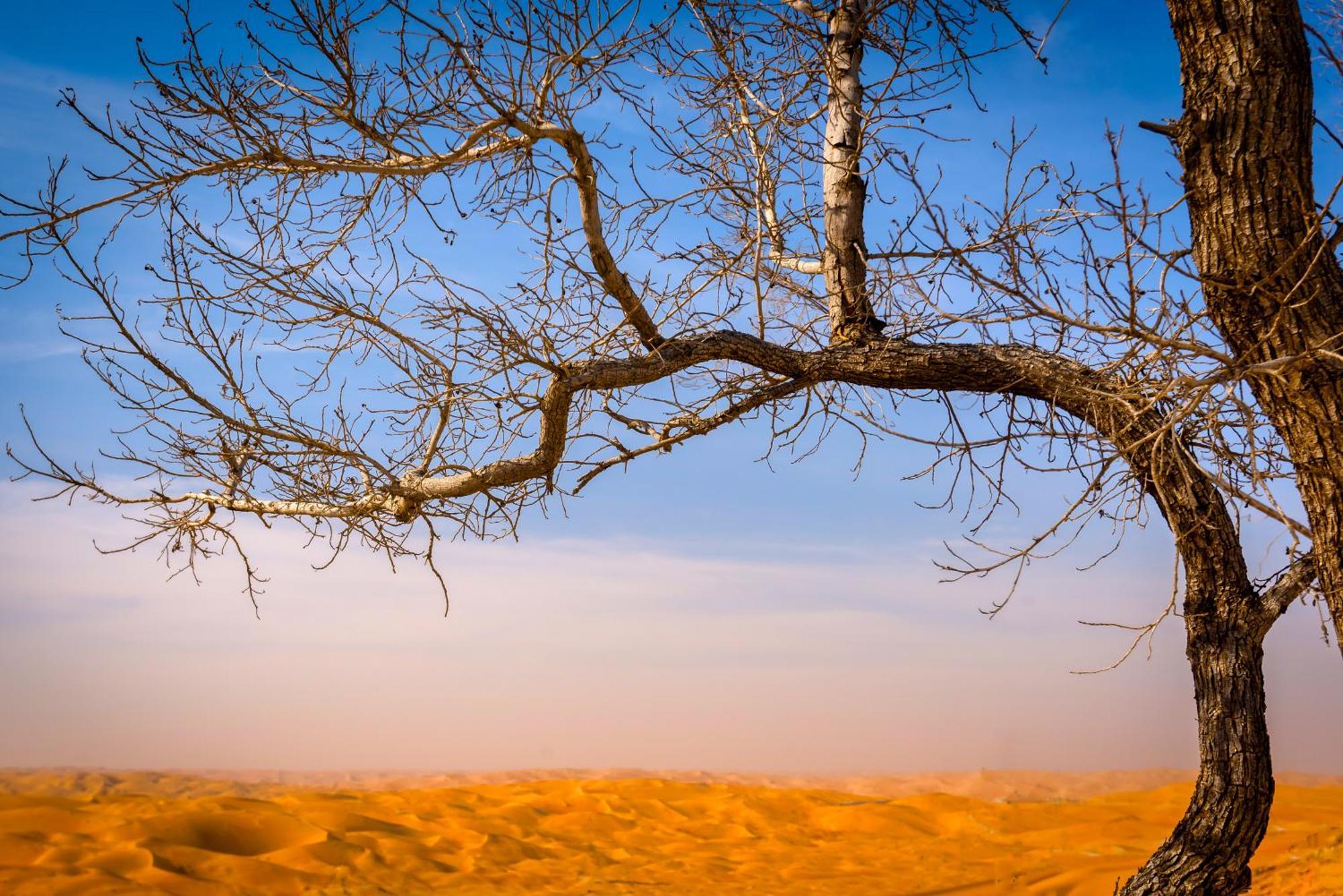 Liwa Hotel Mezairaa Bagian luar foto